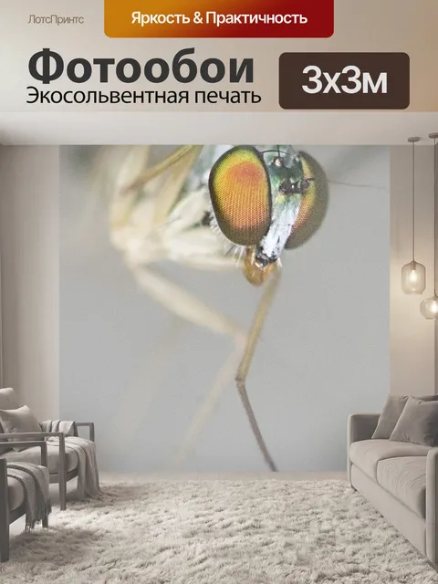 Фотообои Насекомые