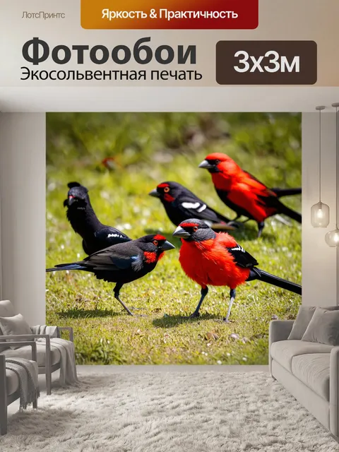 Фотообои интенсивное черно-красное действие в дикой природе с ярко окрашенными птицами