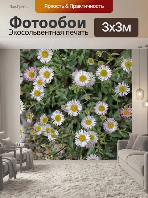 Фотообои Дикие маргаритки