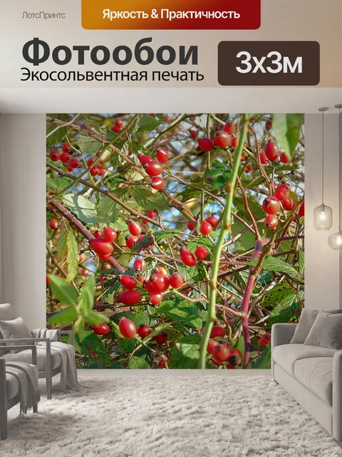 Фотообои Дикая роза