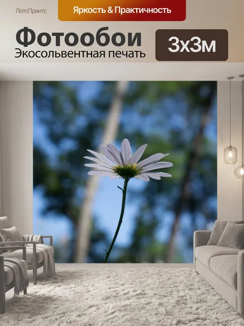 Фотообои Цветок