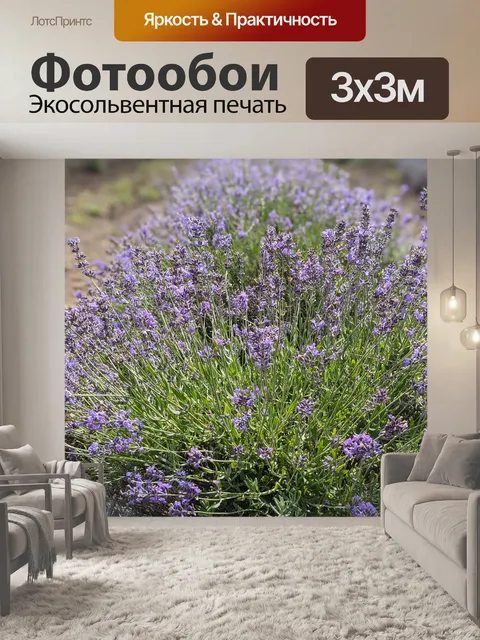 Фотообои Лаванда
