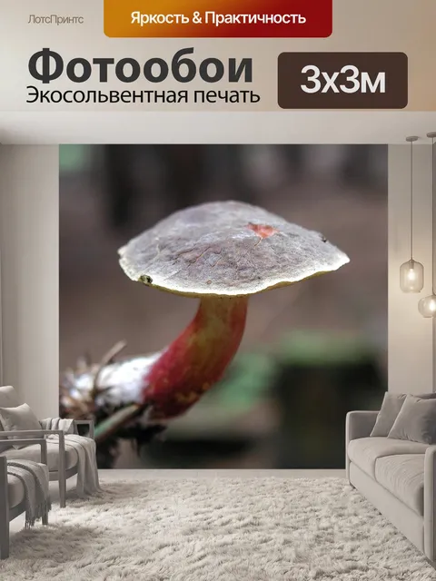 Фотообои Лес