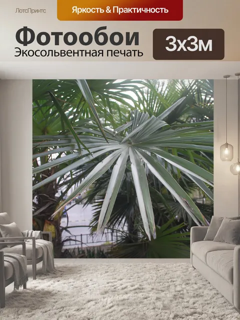 Фотообои Пальма