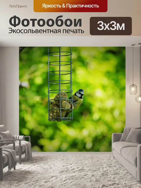 Фотообои Птица