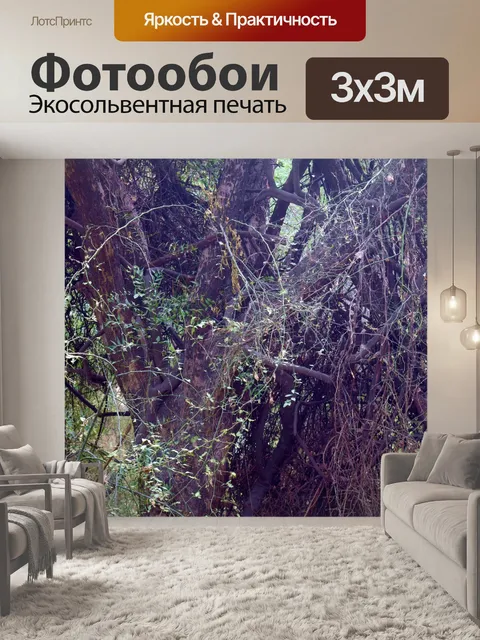 Фотообои лес 39