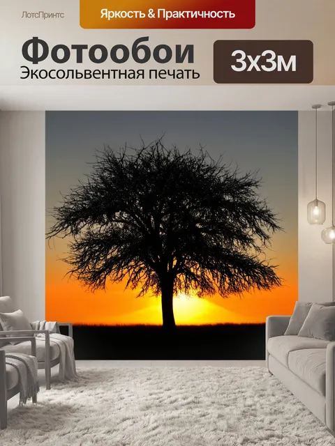 Фотообои дерево с идеально сформированным силуэтом контрастирует с драматическим закатом на горизонте