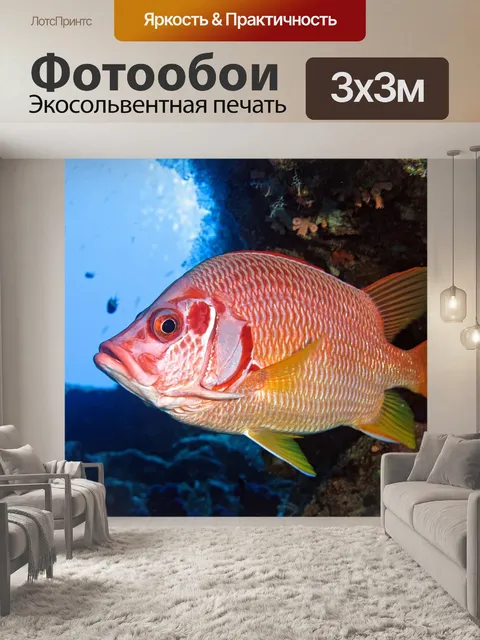 Фотообои Рыбы