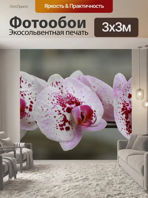 Фотообои Цветок