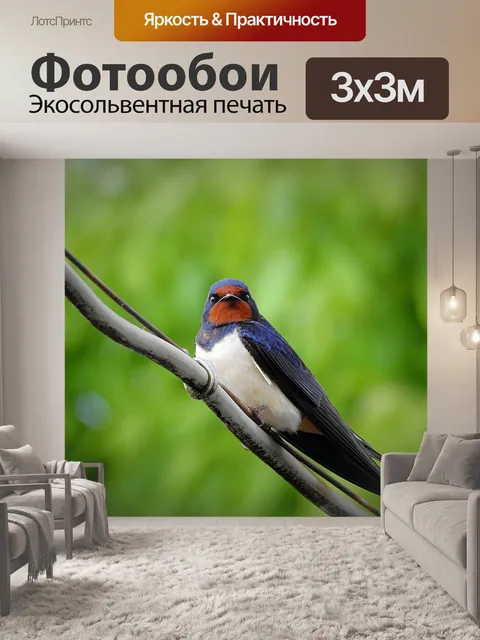 Фотообои Ласточка