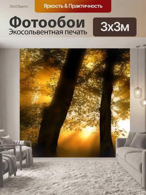 Фотообои Лес 28