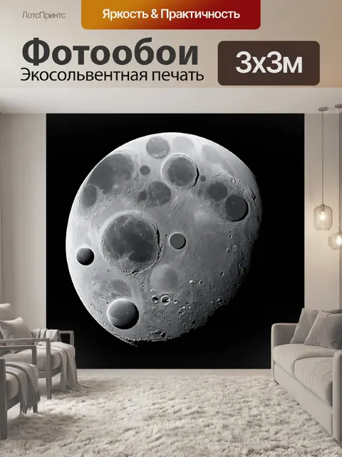 Фотообои космос в стиле черно-белый, показывающие уникальные особенности спутников разных планет