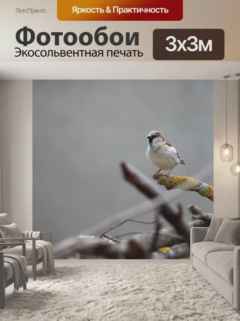 Фотообои Воробей