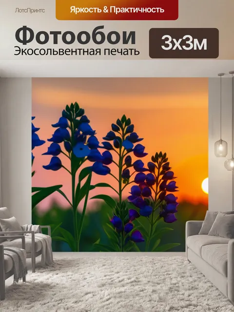 Фотообои цветы на фоне вечернего заката
