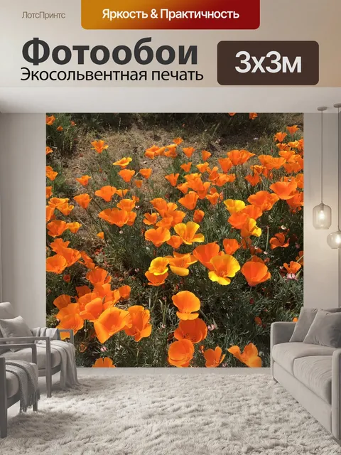 Фотообои Маки