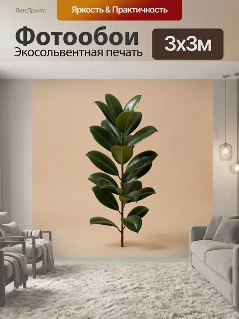 Фотообои Фикус с глянцевыми листьями