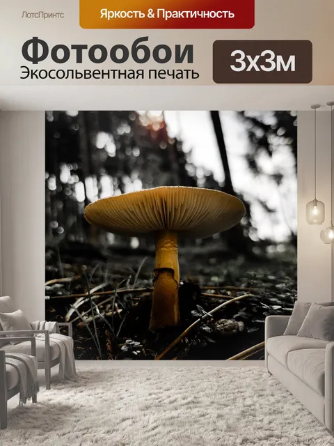 Фотообои Гриб