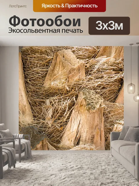 Фотообои Палм текстуры ствола дерева