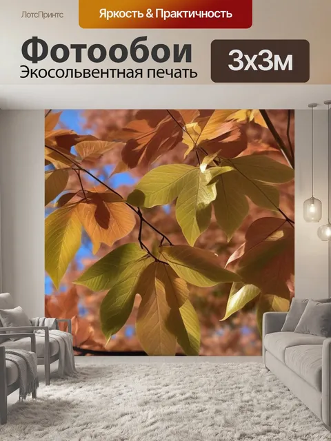 Фотообои прозрачные