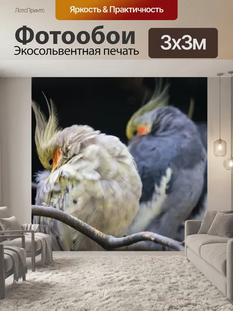 Фотообои Корелла