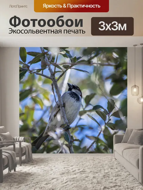 Фотообои Птицы