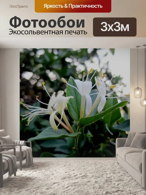 Фотообои Цветы