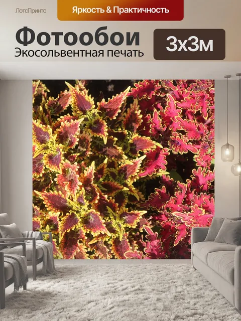 Фотообои Растения