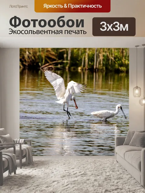 Фотообои Птицы