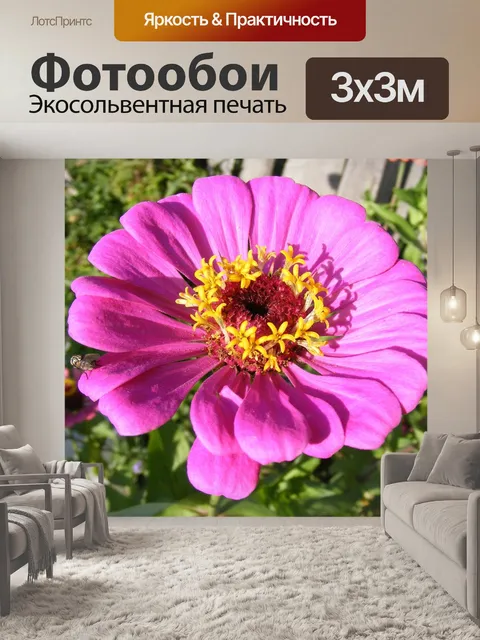 Фотообои Цветы