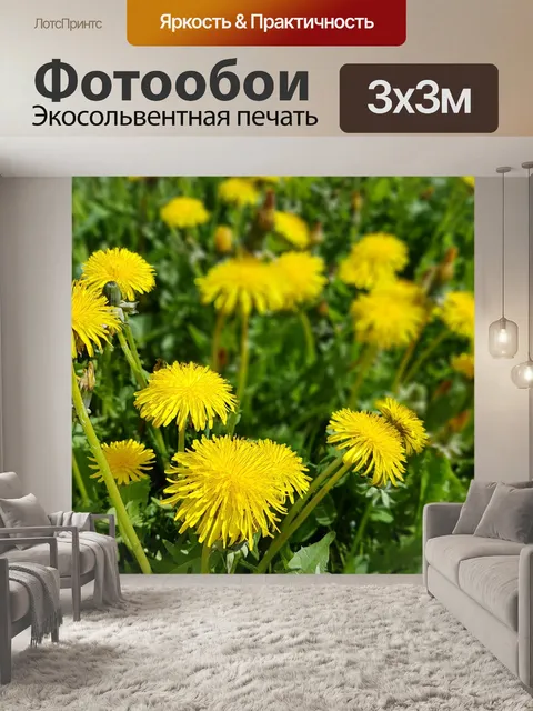 Фотообои Цветы