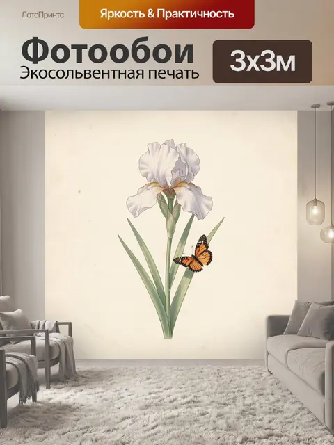Фотообои Белый ирис с бабочкой