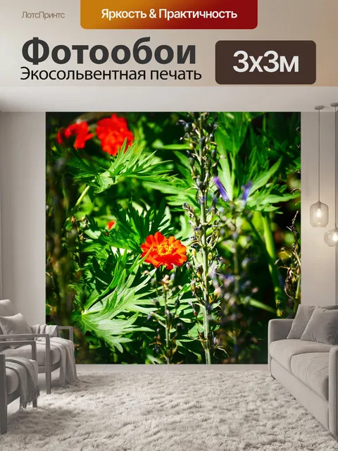 Фотообои Красный