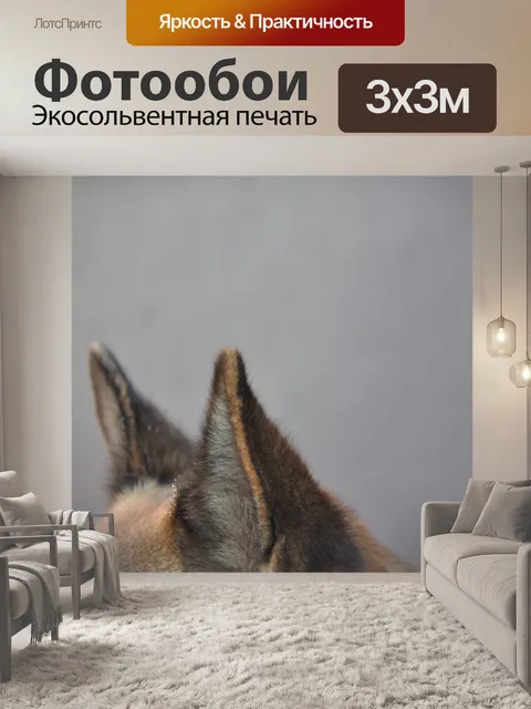 Фотообои Собака