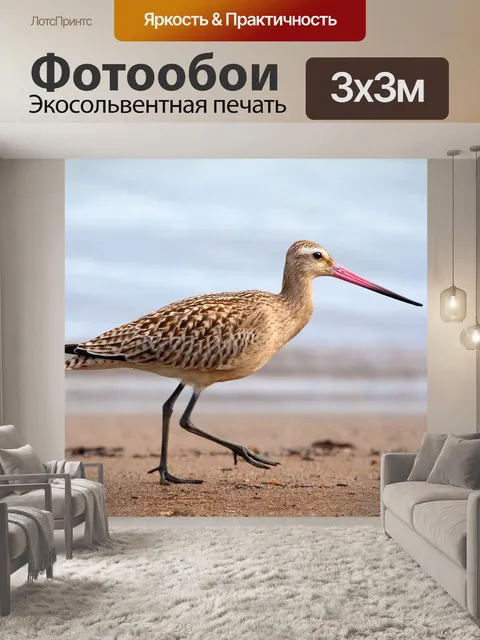 Фотообои Птица