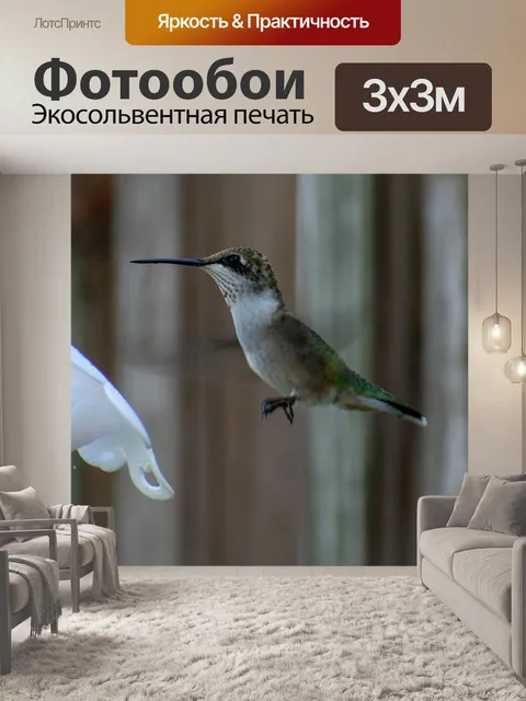 Фотообои Птица