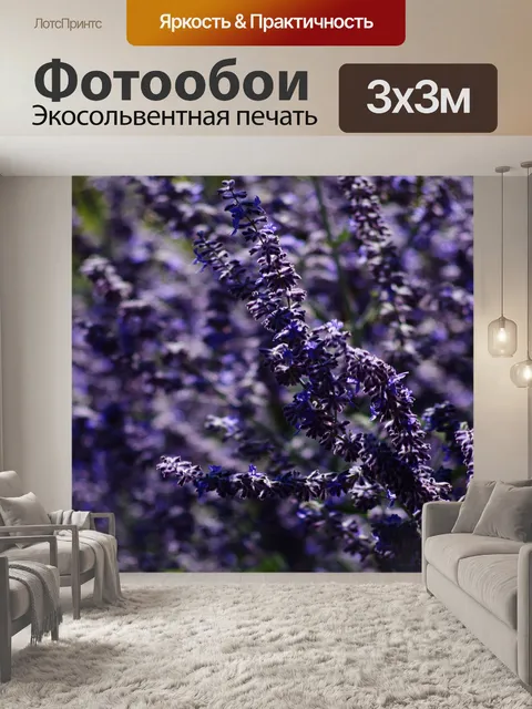 Фотообои Лаванда