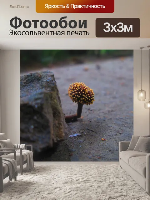 Фотообои Малые