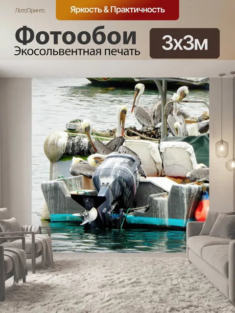 Фотообои Пеликаны на лодке