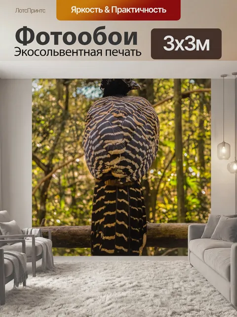 Фотообои Птица