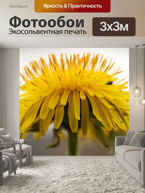 Фотообои Одуванчик