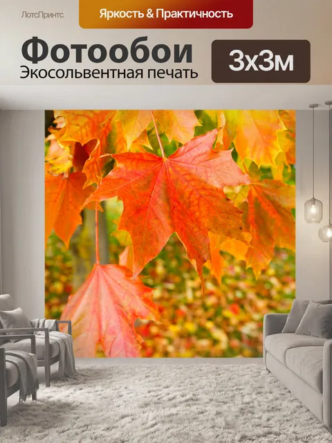 Фотообои Красочные кленовые листья