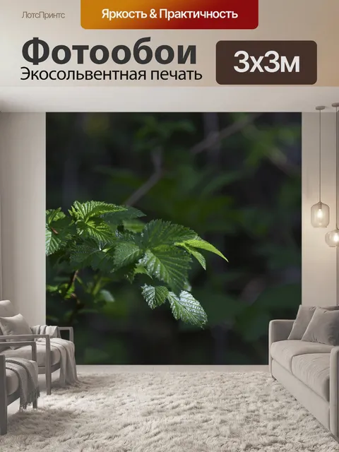Фотообои Темно-зеленые листья