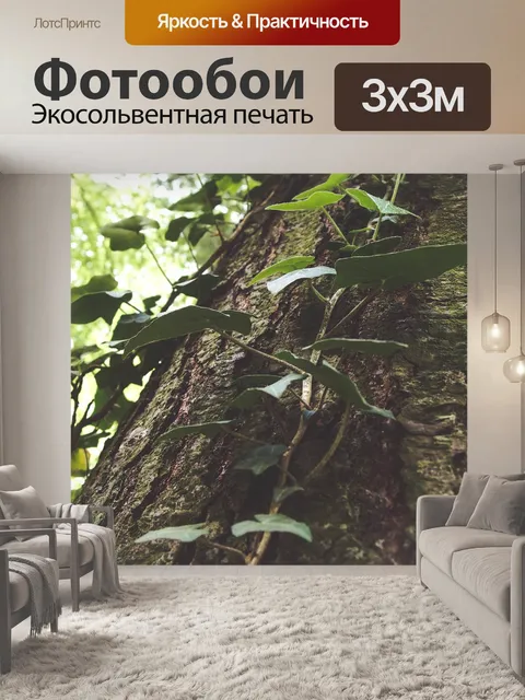 Фотообои Лаять