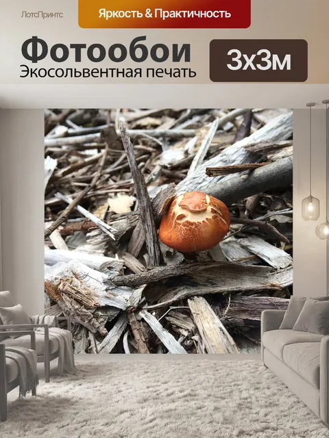 Фотообои Лесной гриб