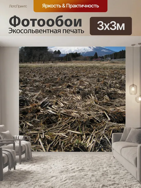 Фотообои Гора фудзи