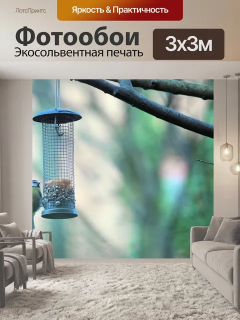 Фотообои Птица