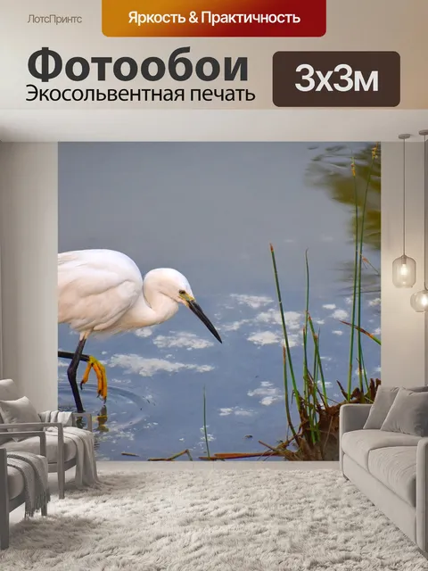 Фотообои Белый журавль