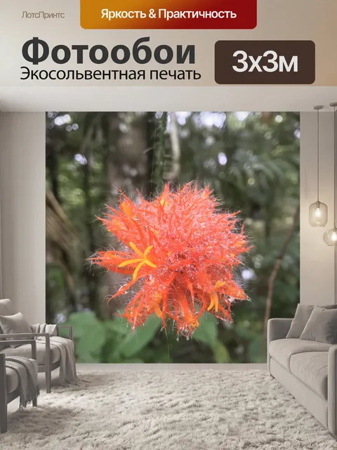Фотообои Цветок
