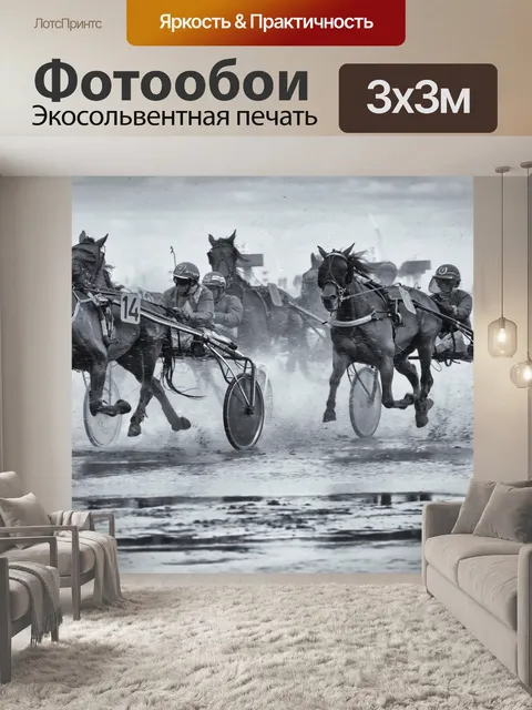 Фотообои Лошади