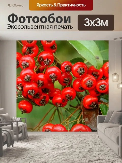 Фотообои Берри завод